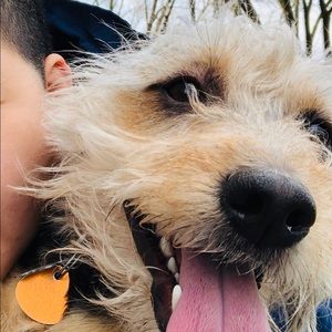 Meet your Posher, Hang